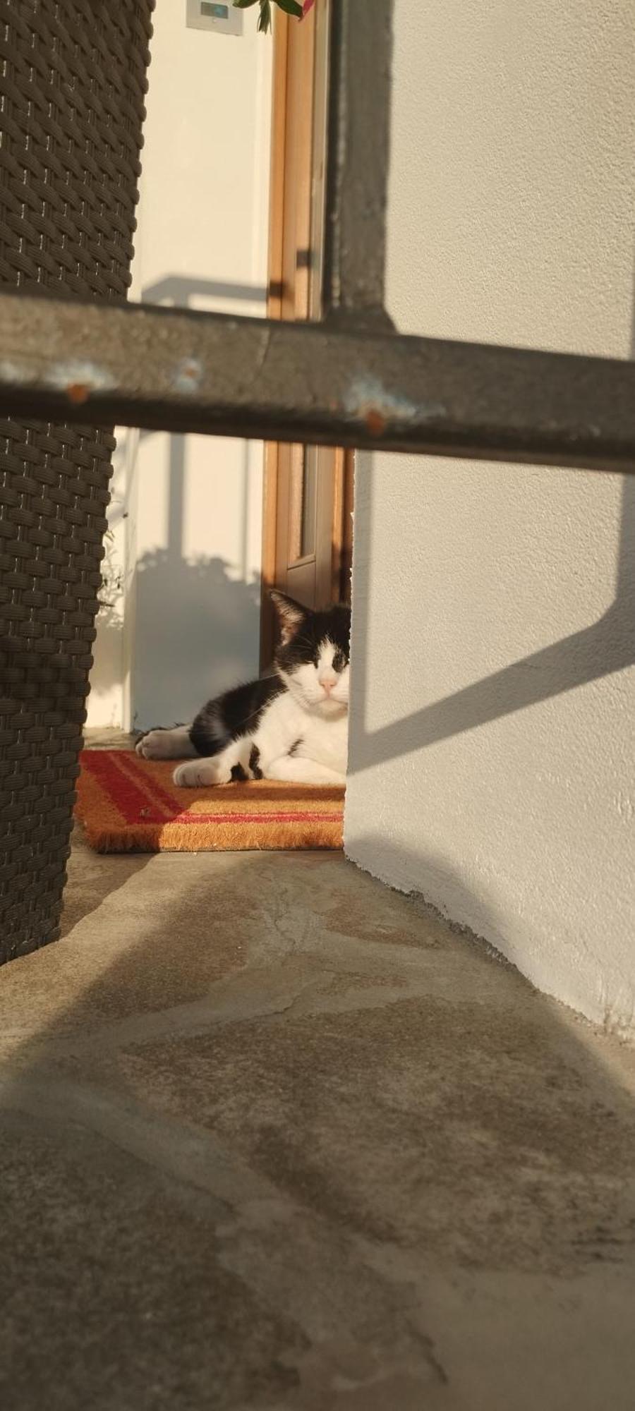 Władysławowo Zara Pokoje Goscinne Oraz Domek Zara Nowosc מראה חיצוני תמונה